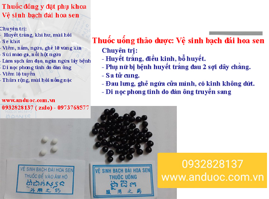 BẠCH ĐÁI HOA SEN CHỮA PHỤ KHOA CHÌNH HÃNG GIA TRUYỀN
