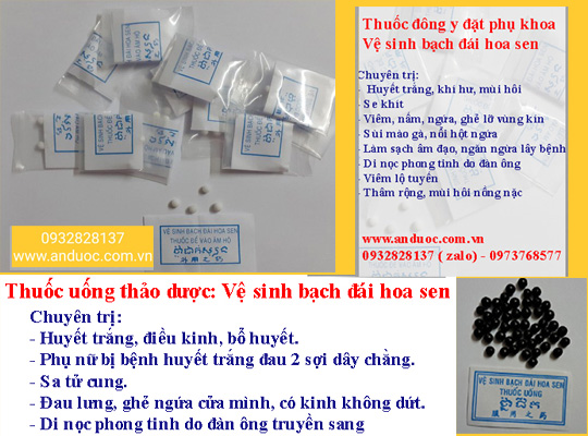 BẠCH ĐÁI HOA SEN TRỊ BỆNH PHỤ NỮ CHÍNH HÃNG
