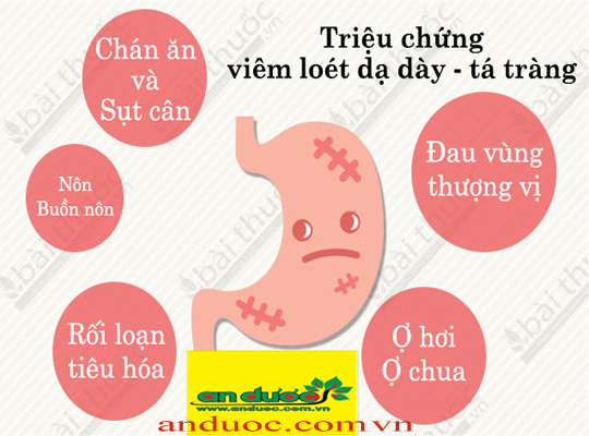 ĐÔNG Y ĐẶC TRỊ BỆNH DẠ DÀY HIỆU QUẢ NHANH