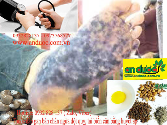 BÀI THUỐC GIA TRUYỀN BÓ GAN CHÂN NGỪA TAI BIẾN