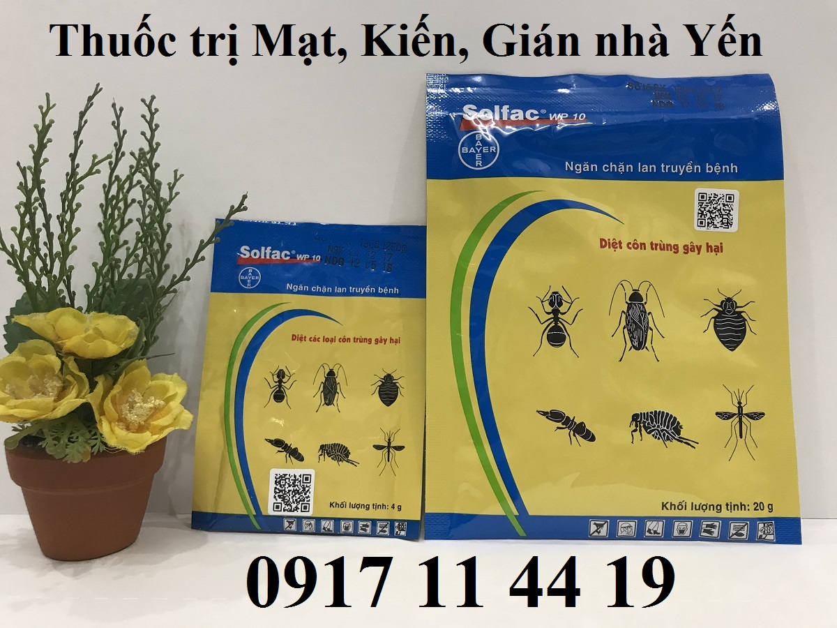 MUA THUỐC DIỆT CÔN TRÙNG NHÀ YẾN Ở ĐÂU