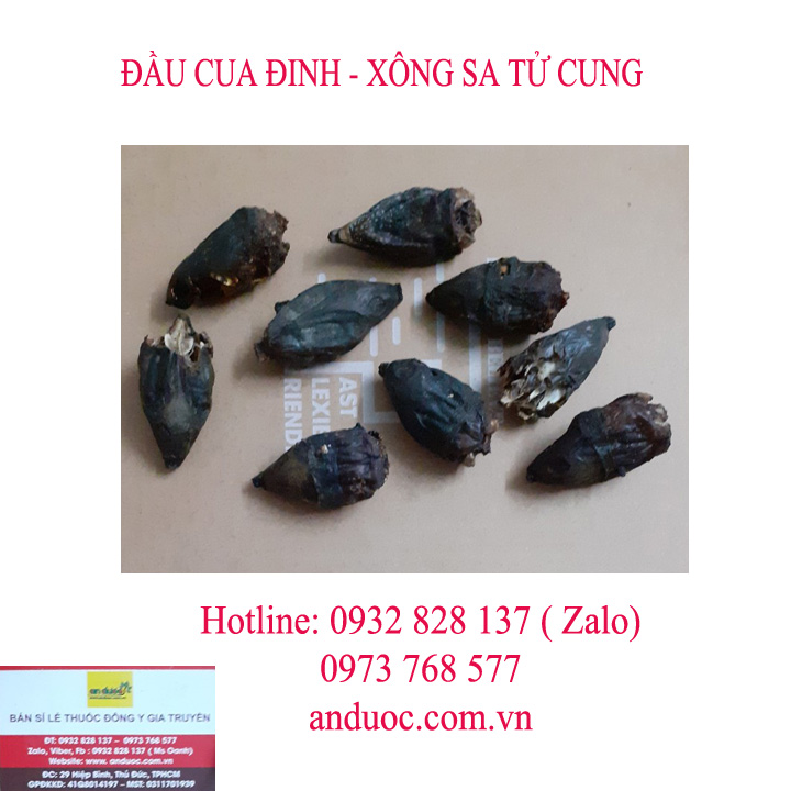 THUỐC XÔNG ĐẶC TRỊ BỆNH SA TỬ CUNG, NGỪA SAU SINH
